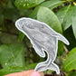 Humpback whale stickers