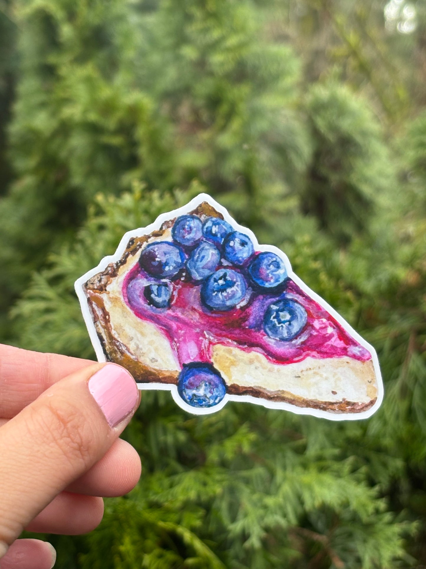 Blueberry cheese cake stickers
