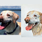 Watercolour Custom Pet Portrait <April 2024>
